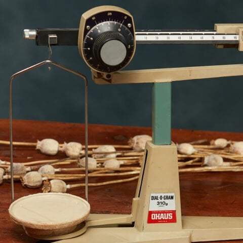 OHAUS Precision Scale