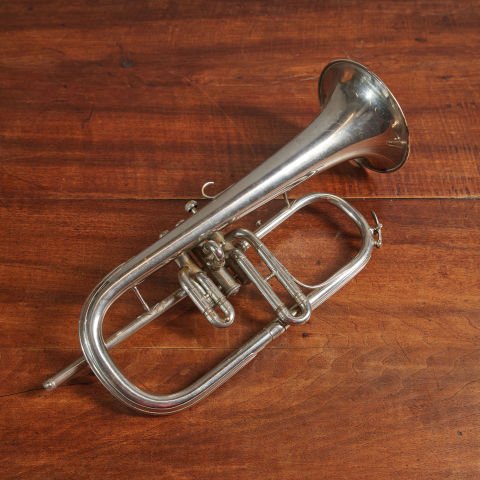 horn