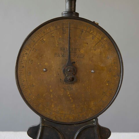 Salter's Family Scale