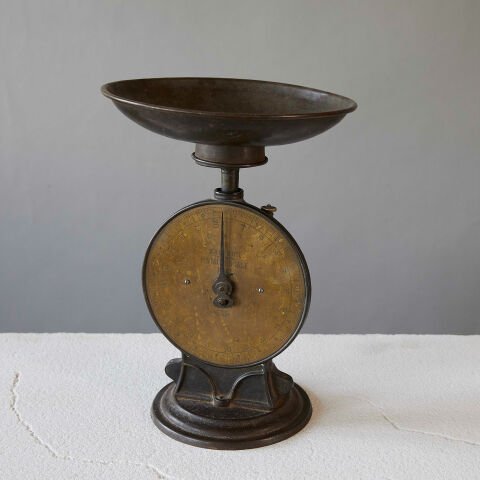Salter's Family Scale